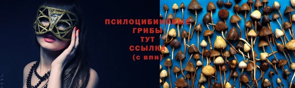 мет Алзамай