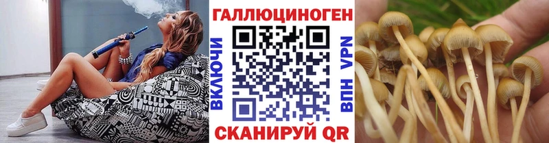 Галлюциногенные грибы Psilocybe omg ONION Калининск
